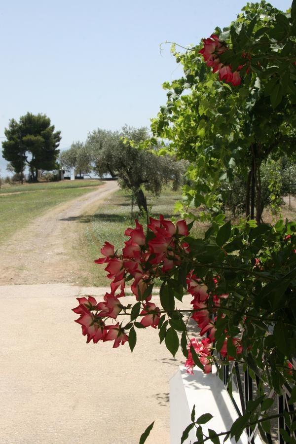 Villa Vlichos Amarynthos Buitenkant foto