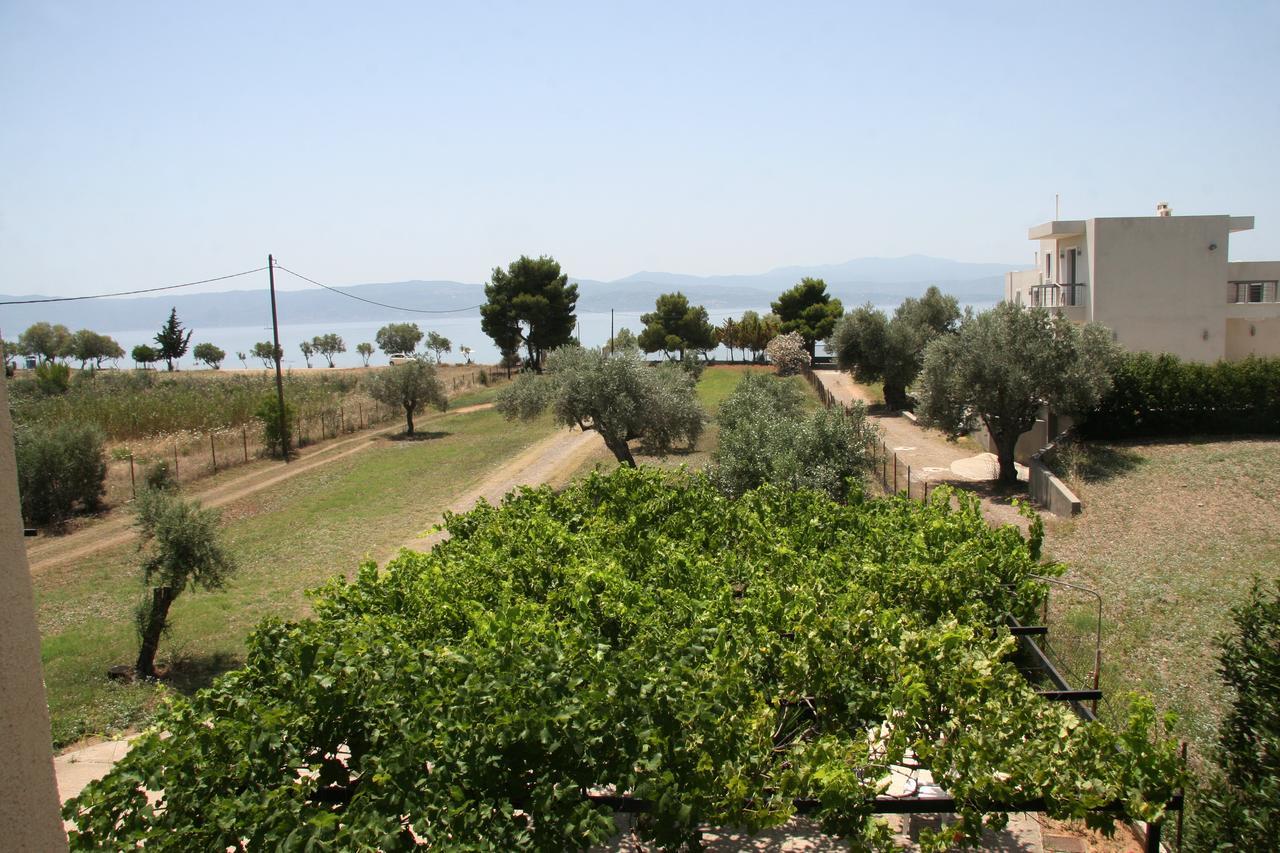 Villa Vlichos Amarynthos Buitenkant foto