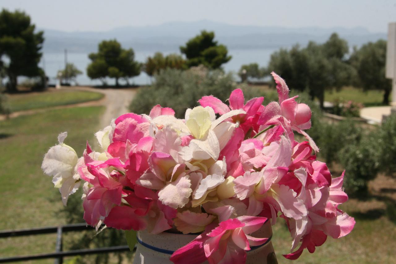 Villa Vlichos Amarynthos Buitenkant foto